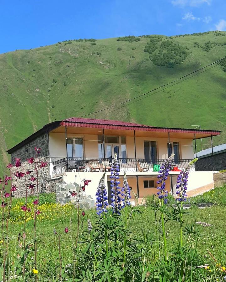 Cozy Hotel Kazbegi Bagian luar foto